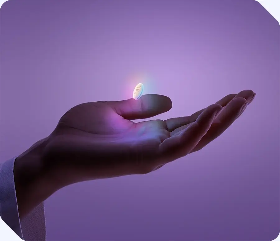 PALSONIFY hero image