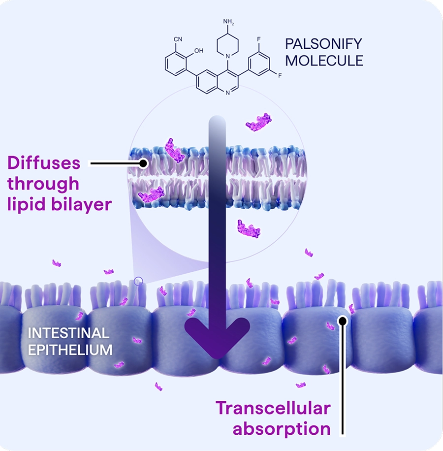 Illustration of PALSONIFY mechanism of action